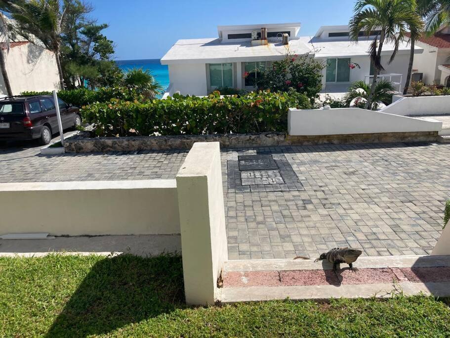 Cancun Oceanfront, Entire Apartment Экстерьер фото